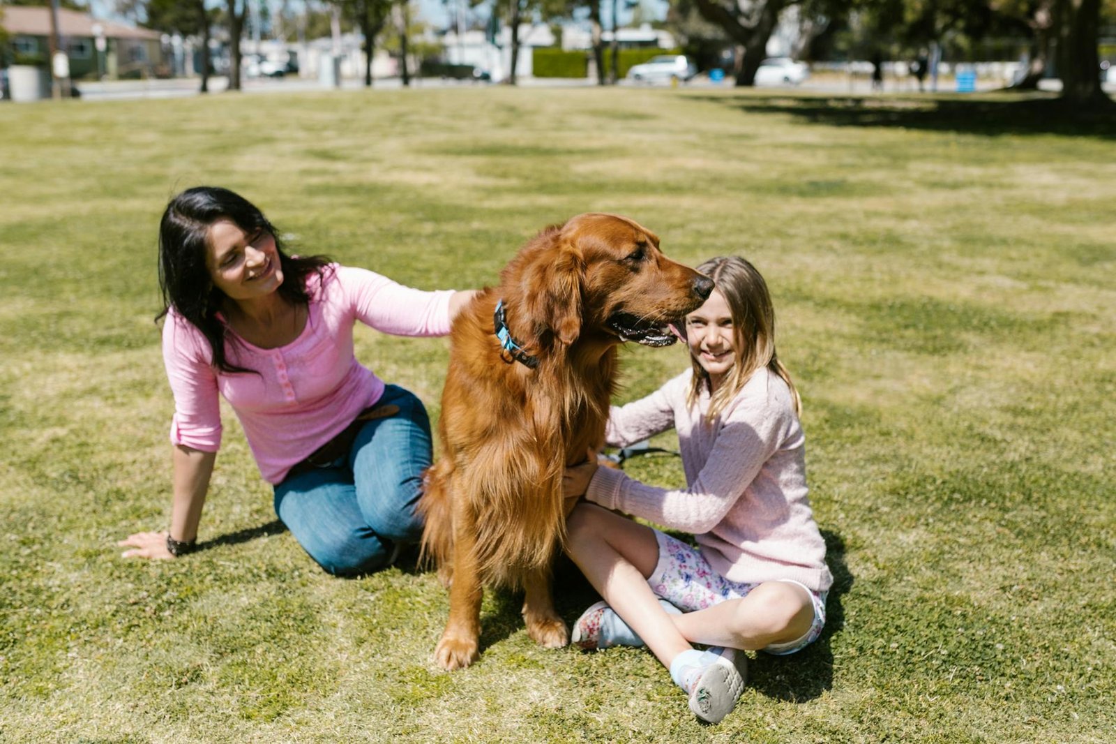 Family-Friendly Dog Breeds for First-Time Owners
