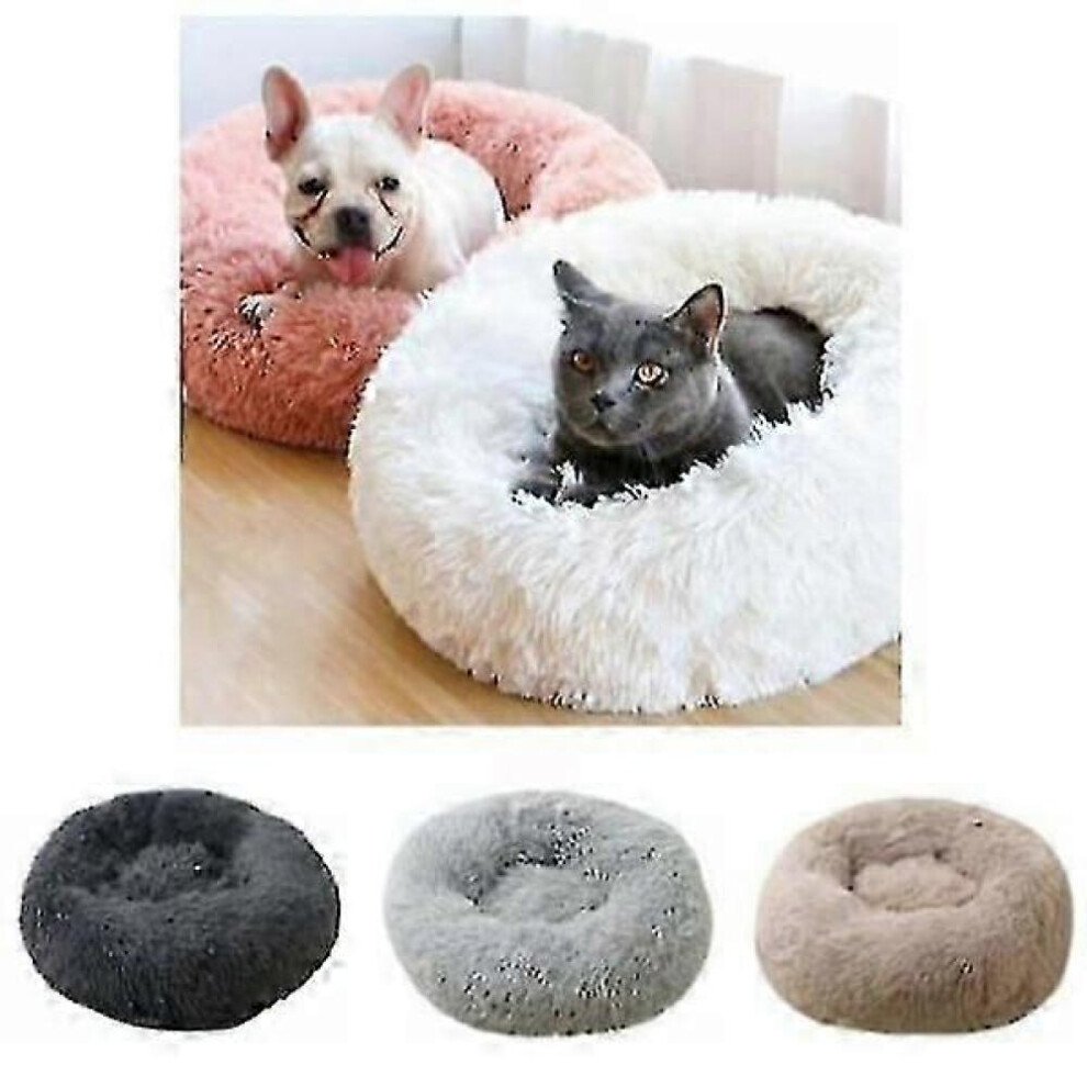 Best Dog Bed in 2026