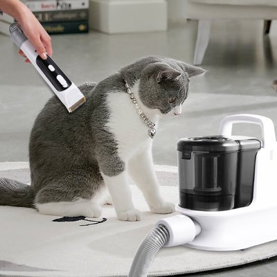 Top 5 Dog Grooming Kit (2026 Buyer's Guide)
