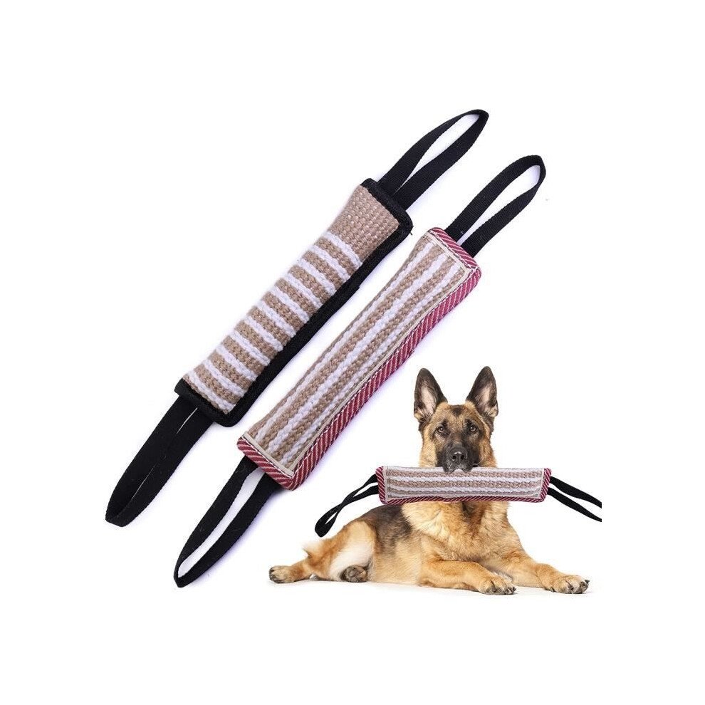 Best Dog Toys in 2026