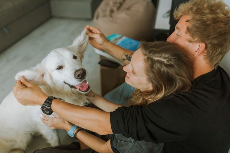 pet care image for How Mazes Improve Problem-Solving Skills In Children
