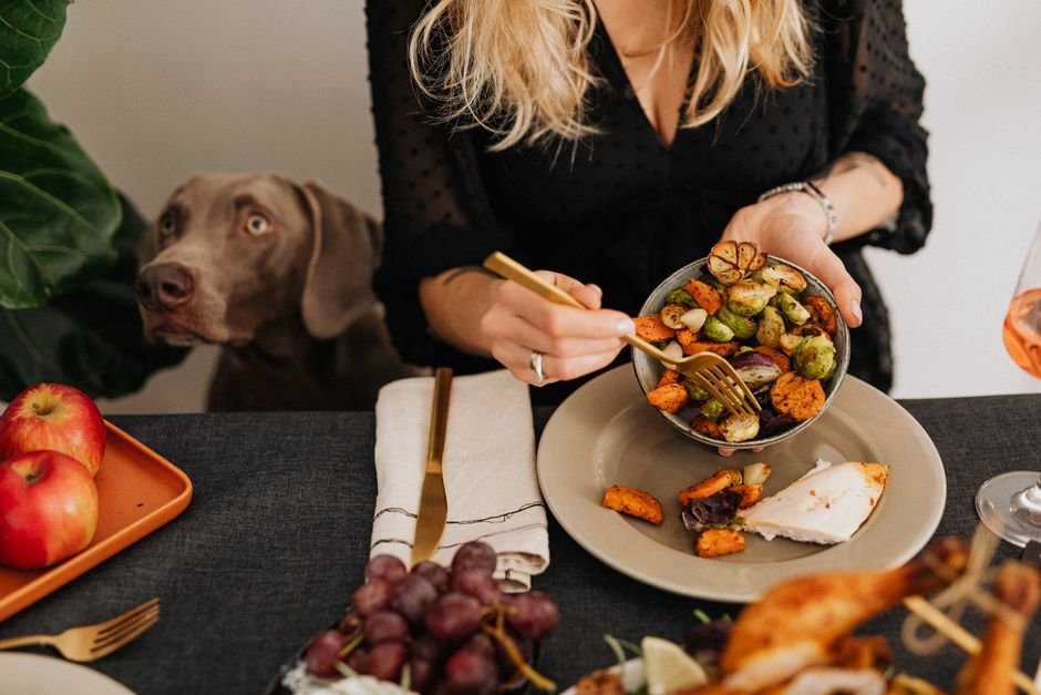 Best Dog Food in 2026